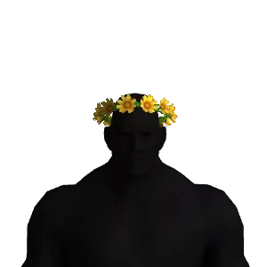 Flower Crown Color 2