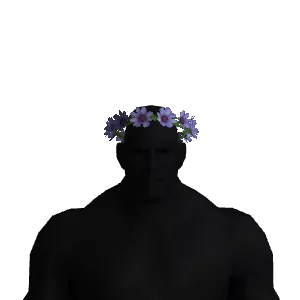 Flower Crown Color 2