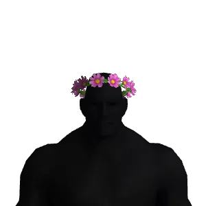 Flower Crown Color 1