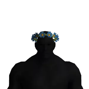 Flower Crown Color 2