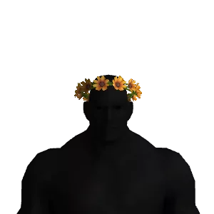 Flower Crown Color 1