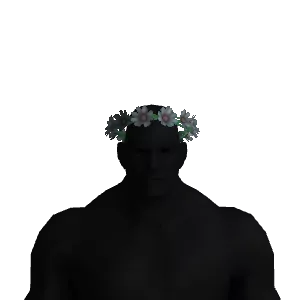 Flower Crown Color 2