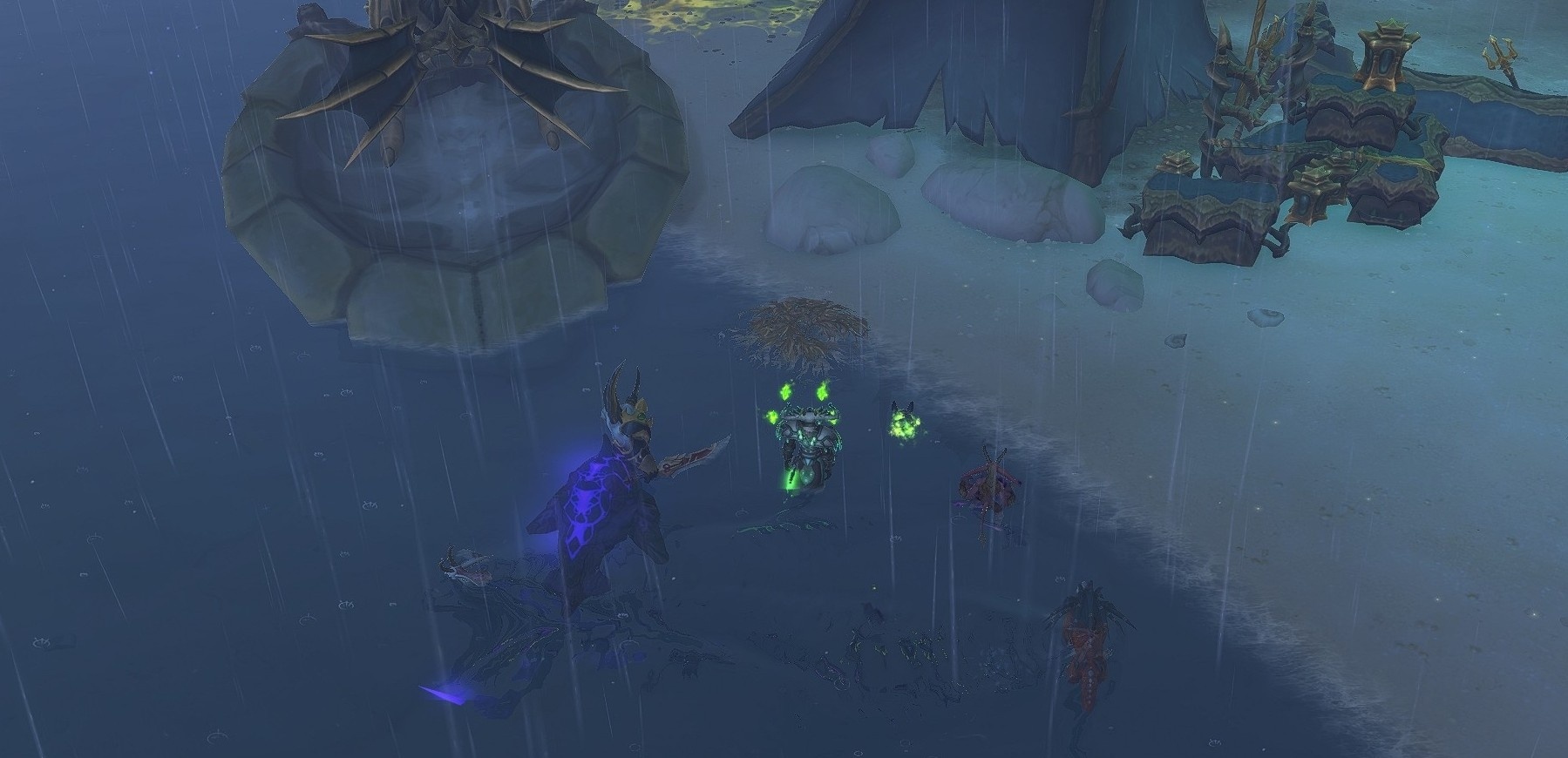 Внешний вид Выброшенной на берег ламинарии