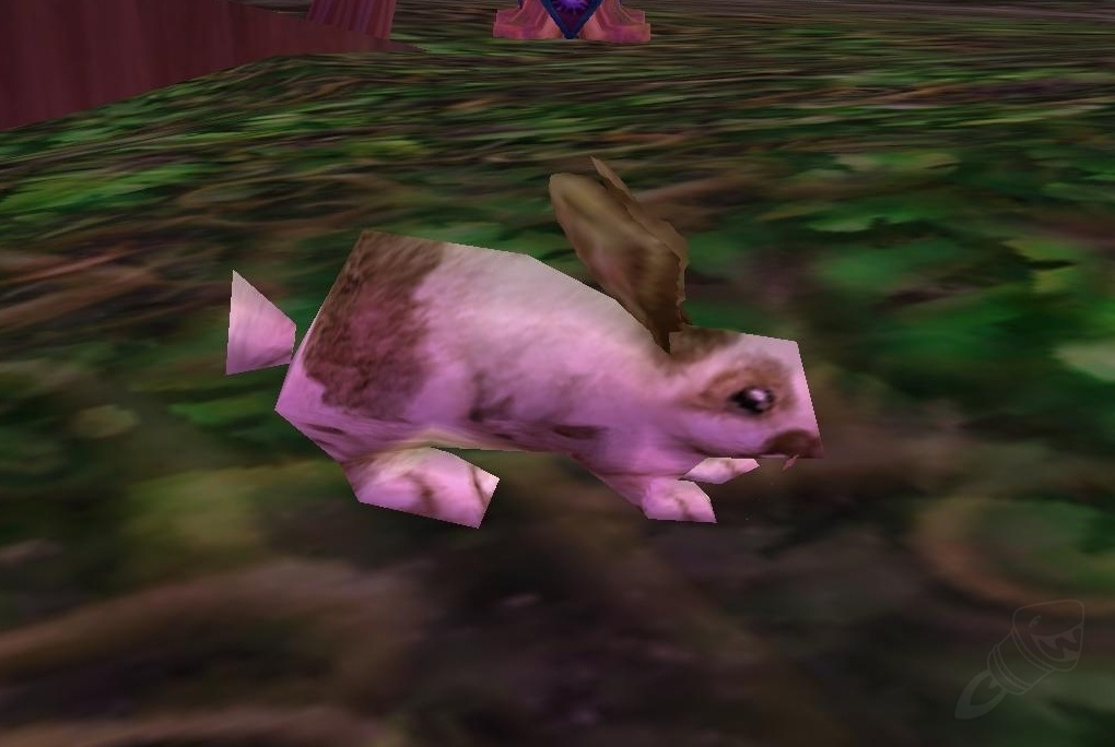 Lapin du printemps Sort World of Warcraft