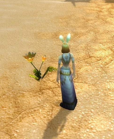 Desert Bloom - NPC - World of Warcraft