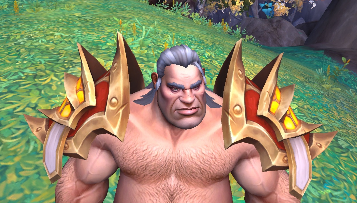 トップス wow Vengeful Mantle of the Crusader - Item - World of Warcraft