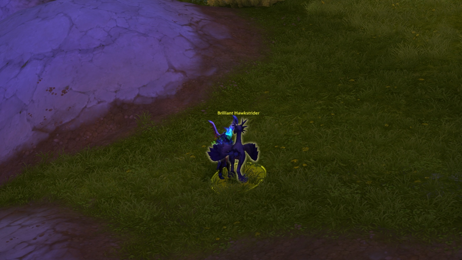 Brilliant Hawkstrider