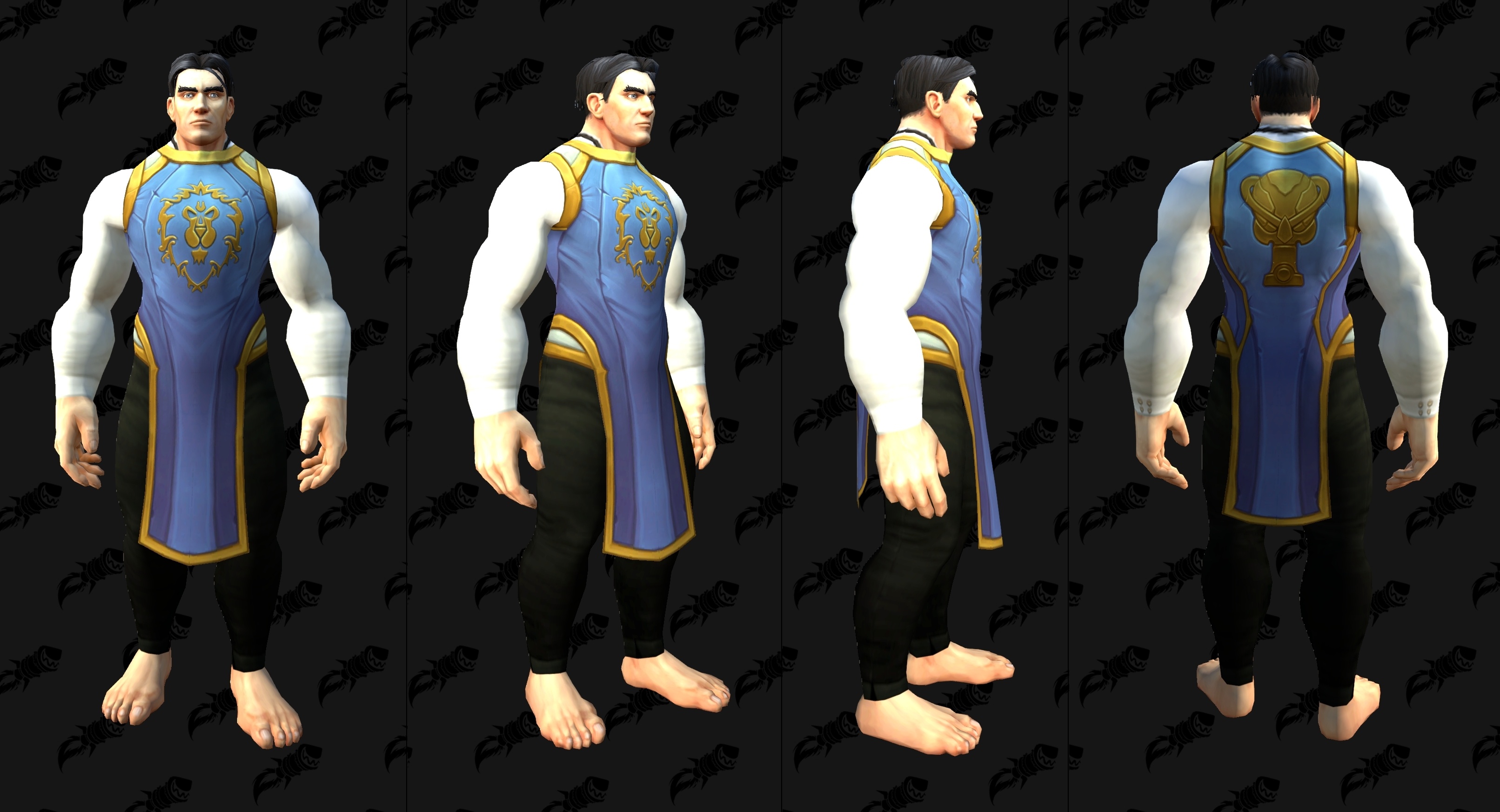 Alliance Tabard of Participation