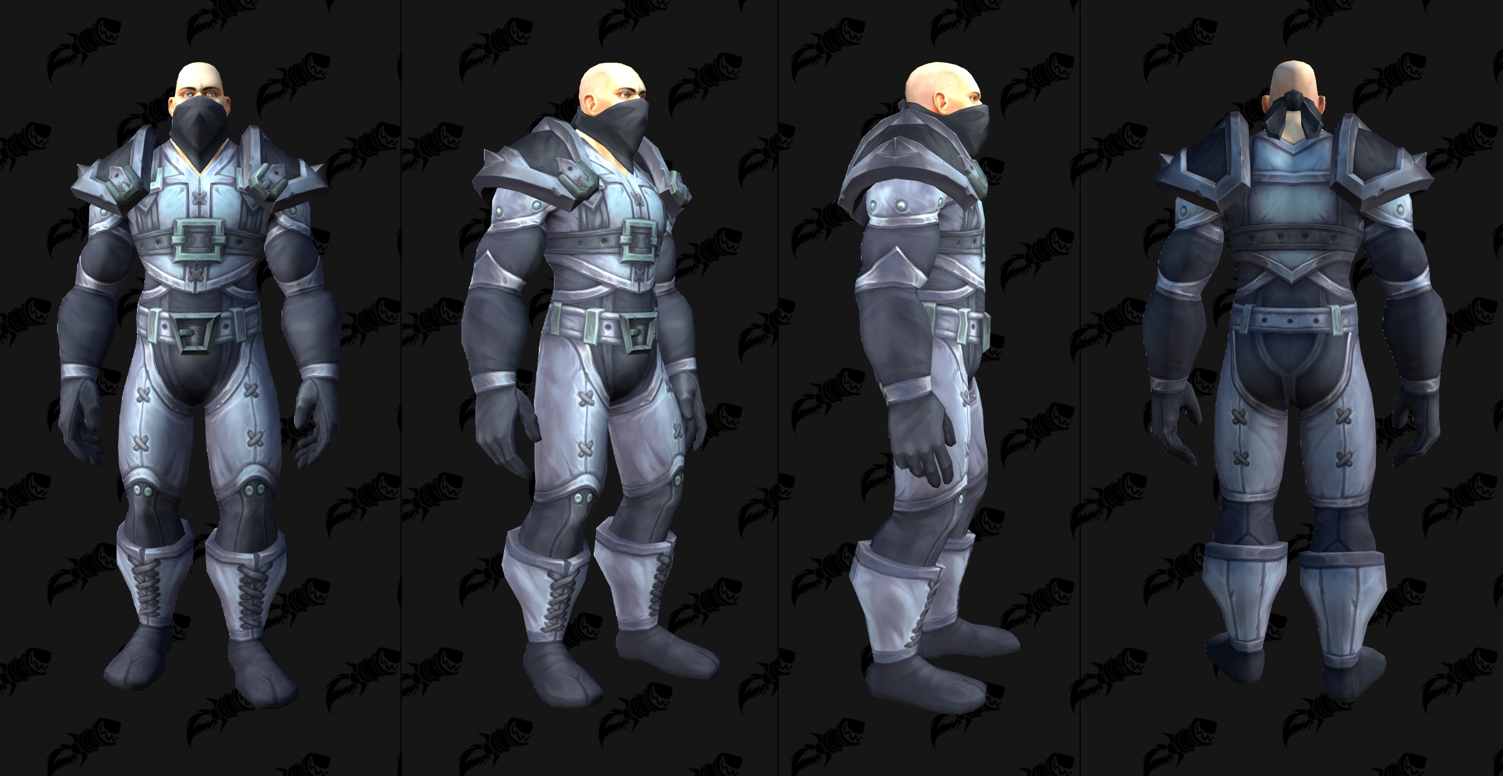 Moonlight Assassin's Attire