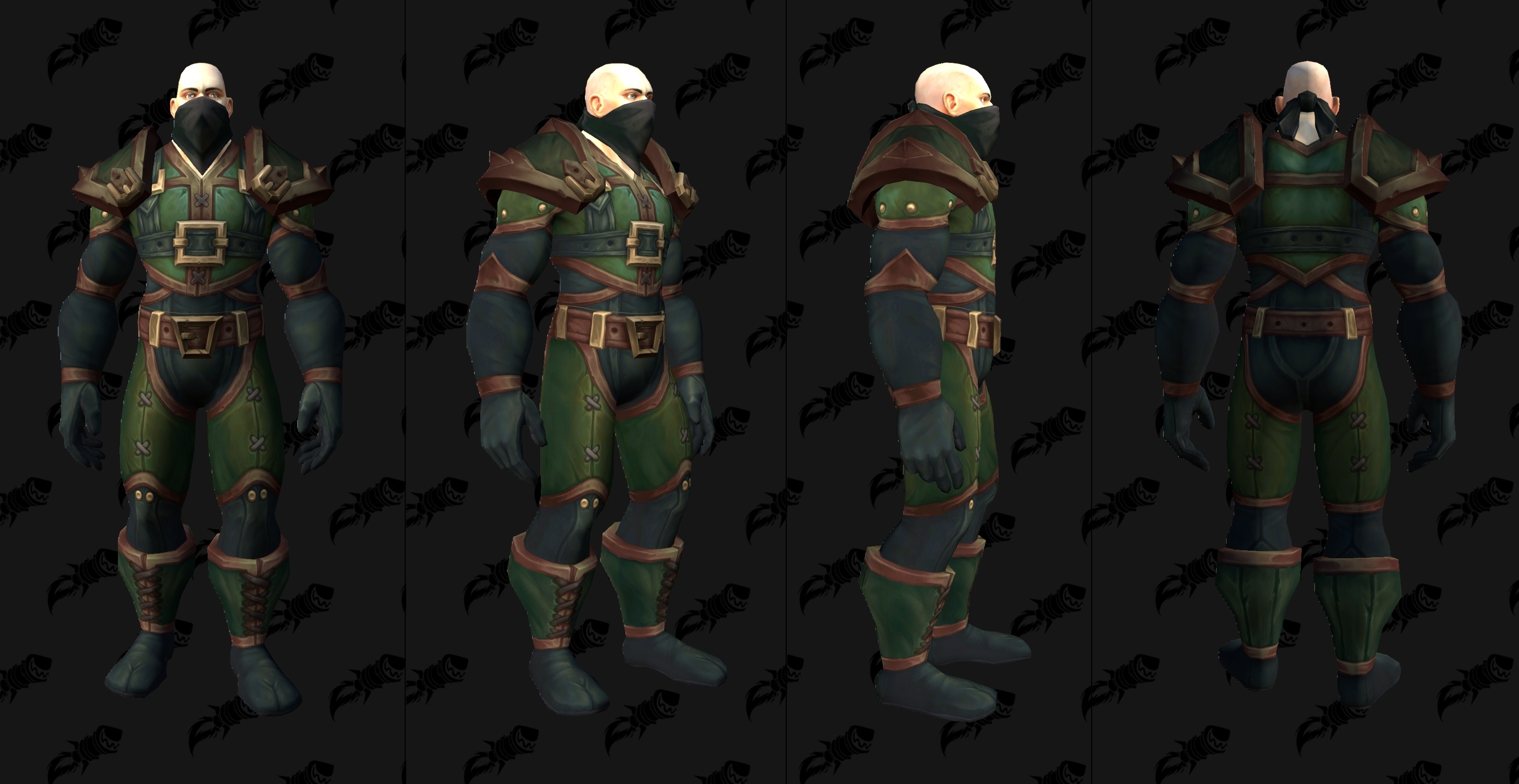 Thornshadow Assassin's Attire