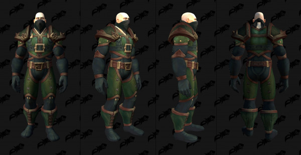 Thornshadow Assassin's Attire