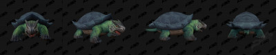 Turtle Model 1
