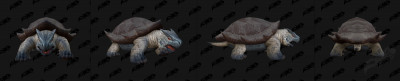Turtle Model 2