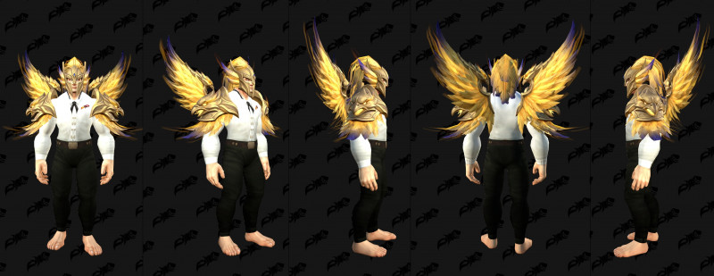 Garb of the Dawnfire Phoenix