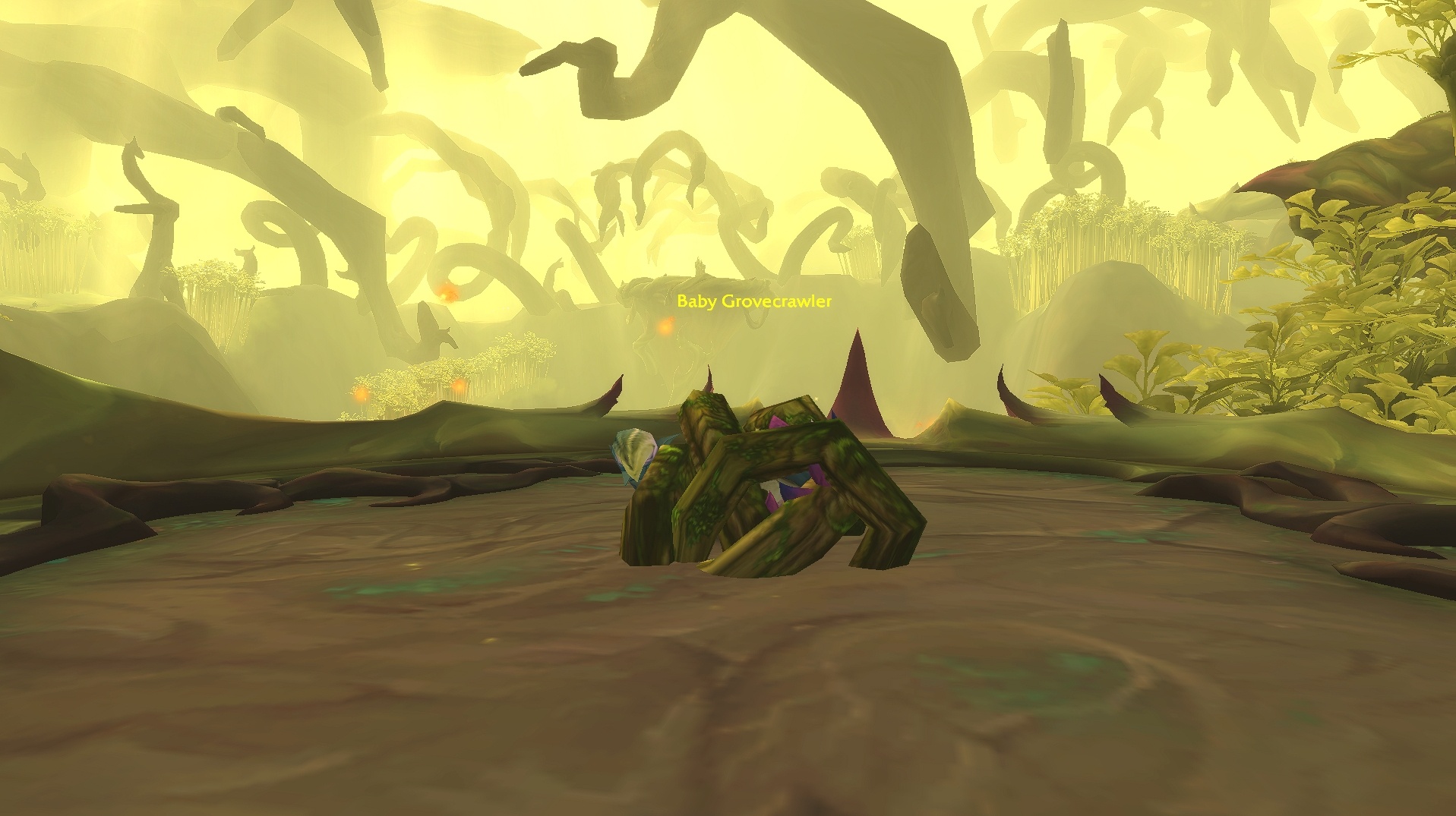 Baby Grovecrawler