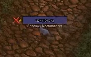 Shadowy Necromancer