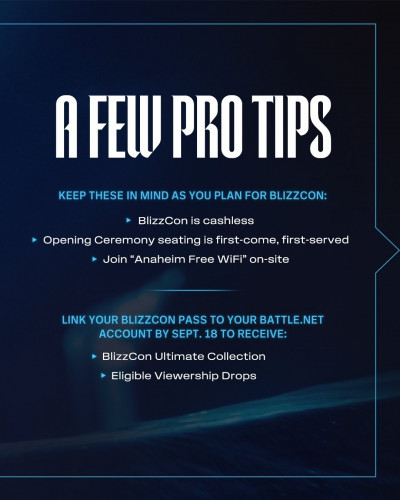 blizzcon visual guide
