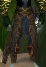 Furious Gladiator's Wyrmhide Legguards - Item - WotLK Classic