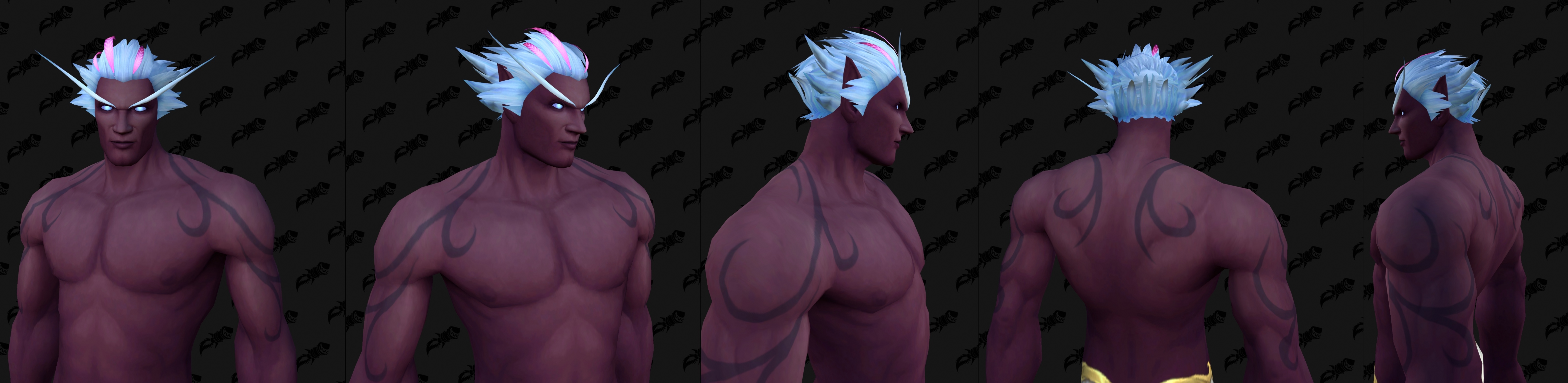skyborne customization