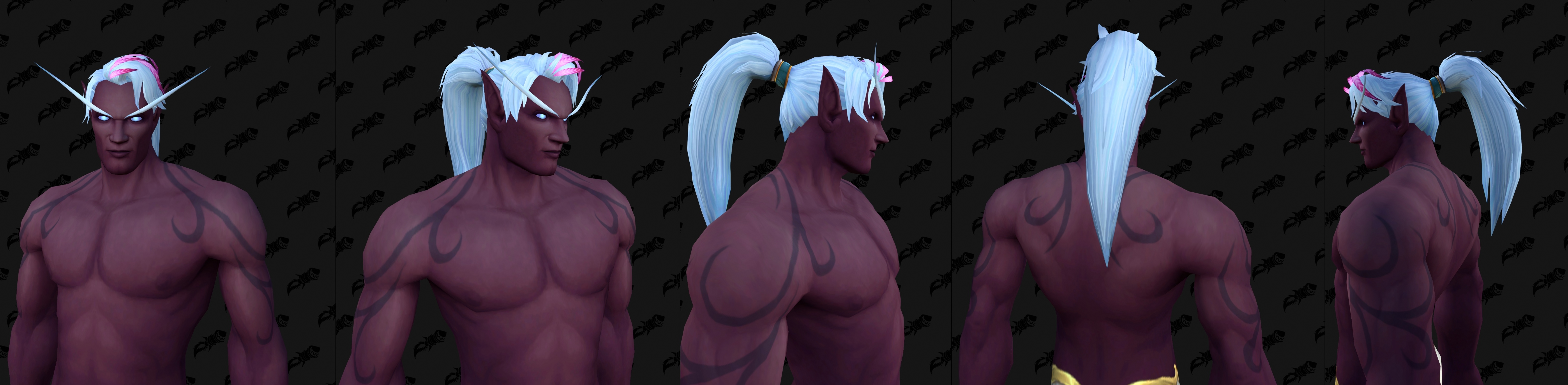 skyborne customization