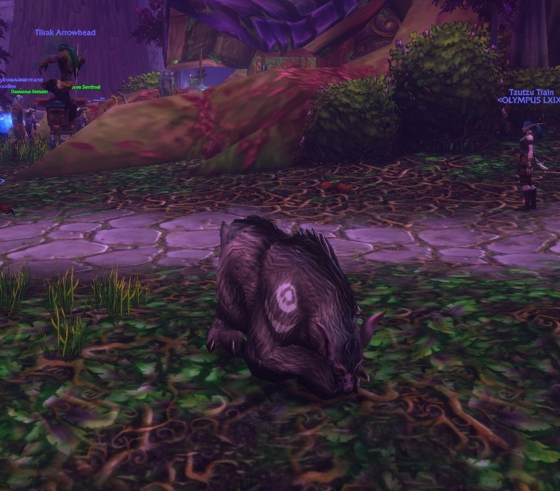 Bear Taking Potion