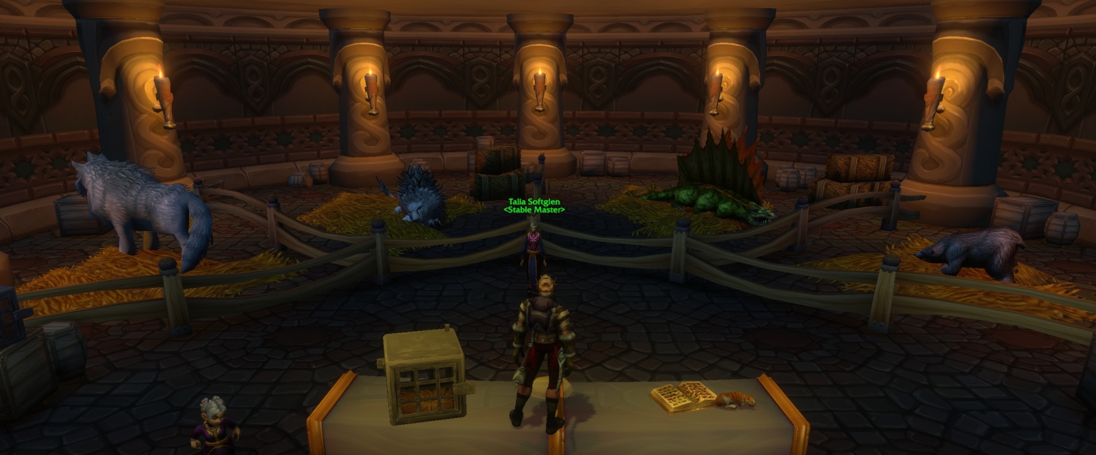 Dalaran Stable Master