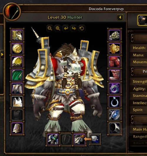 WoW Forever Hunter Tier 1