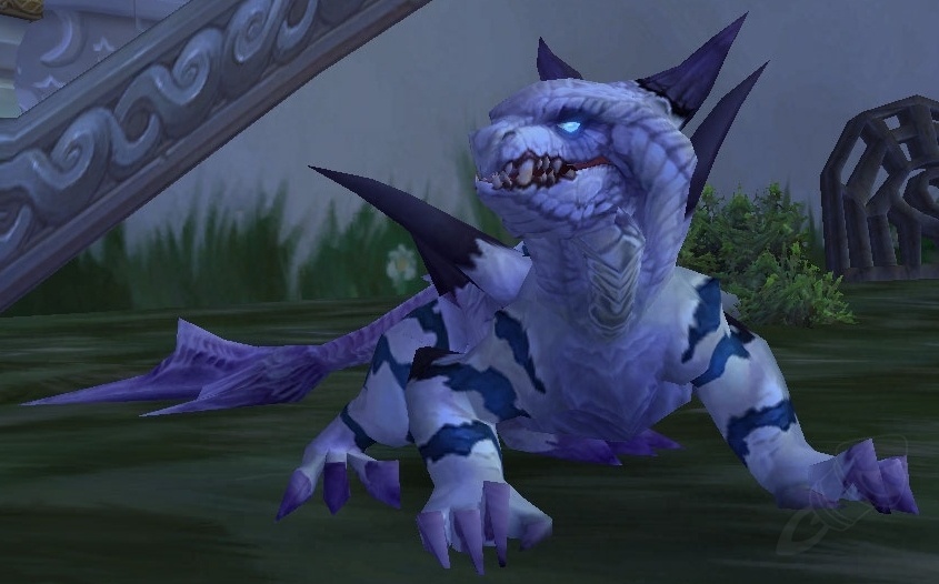 Warp Stalker - Hunter Pet - WotLK Classic