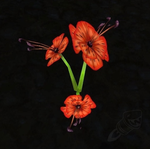 Tiger Lily Object WotLK Classic