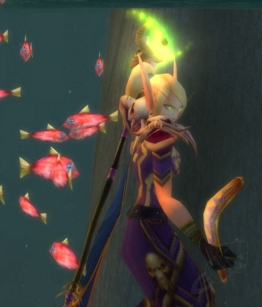 Fishing Net Item World of Warcraft