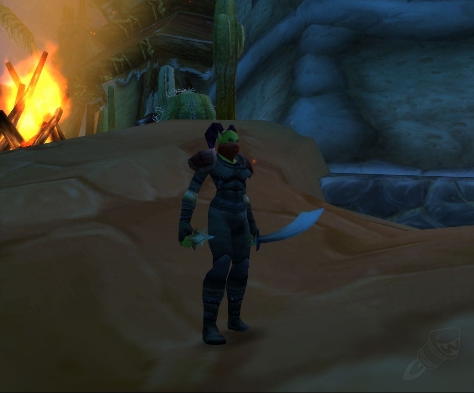 Defias Leather - Item Set - WotLK Classic
