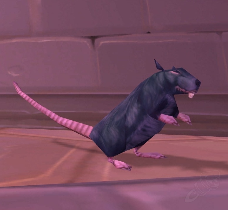 Rato Gigante de Esgoto - Item - WotLK Classic