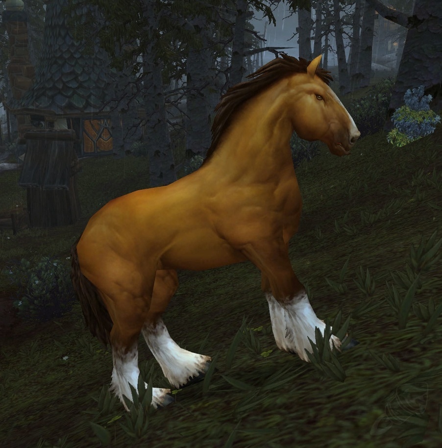 Mountain Horse Npc World Of Warcraft