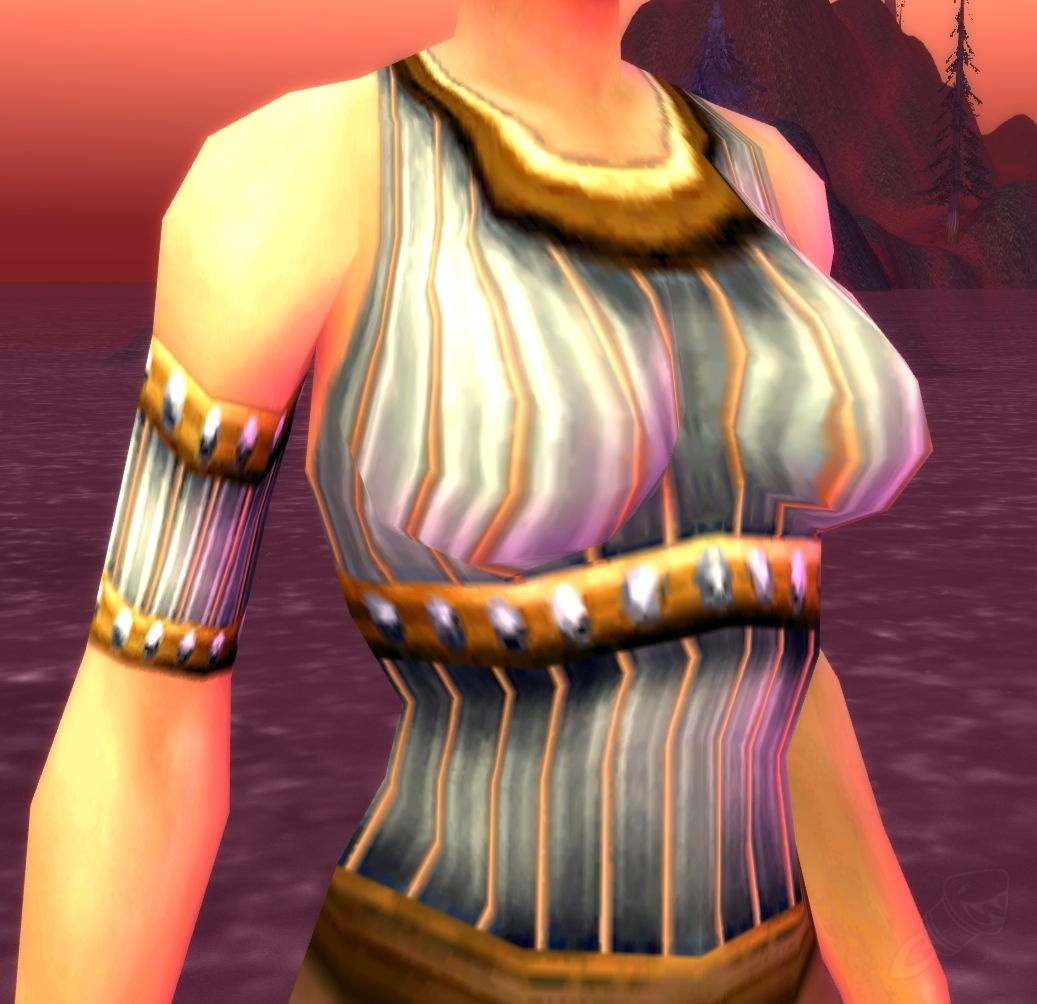 Pillager's Chestguard Item World of Warcraft