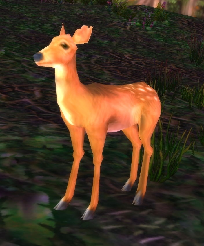 Whitetail Doe NPC Cataclysm Classic