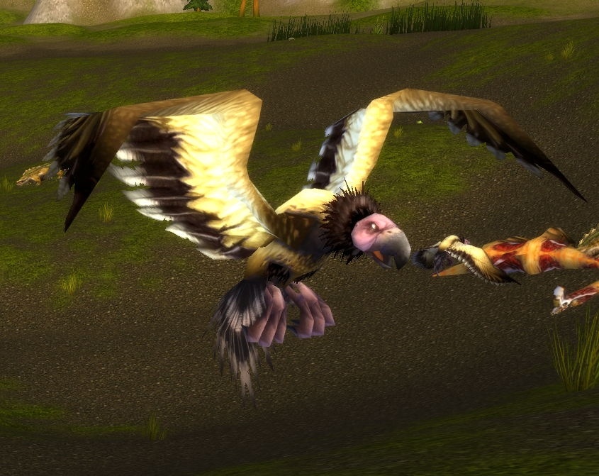 Águila ratonera del lago - PNJ - World of Warcraft