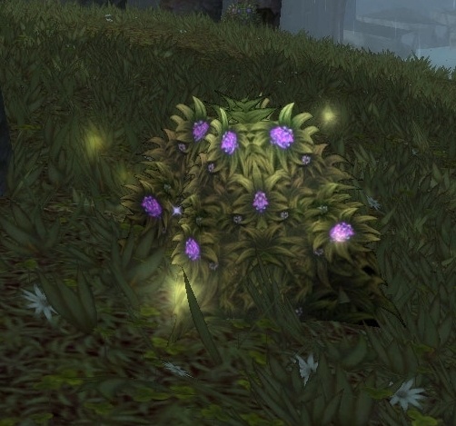 What Is Not An Alternate Name For Wolfsbane