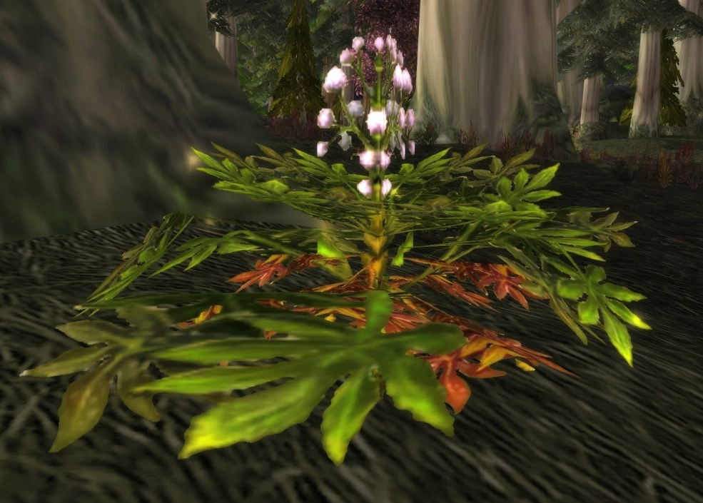 Bear's Paw Object World of Warcraft