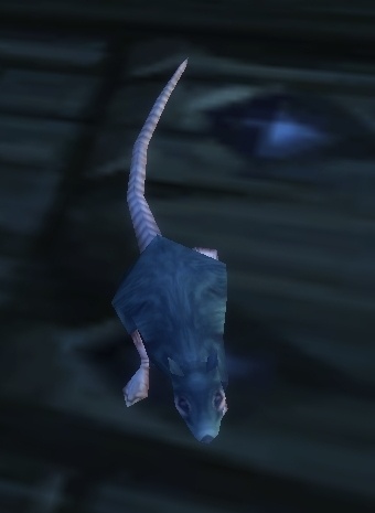 Stowaway Rats Stowaway Rat - NPC - World of Warcraft