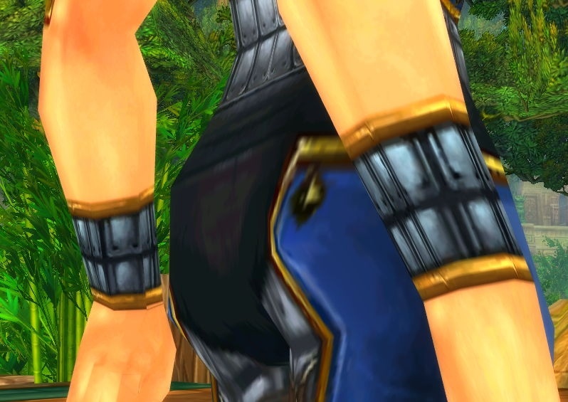 Jintha'Alor Bracers Item World of Warcraft