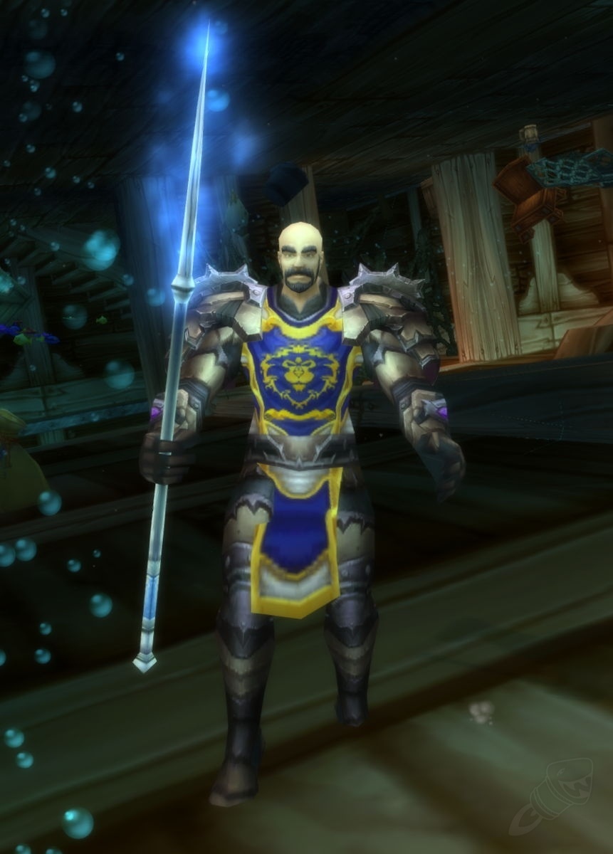 Stormwind Seal NPC World of Warcraft