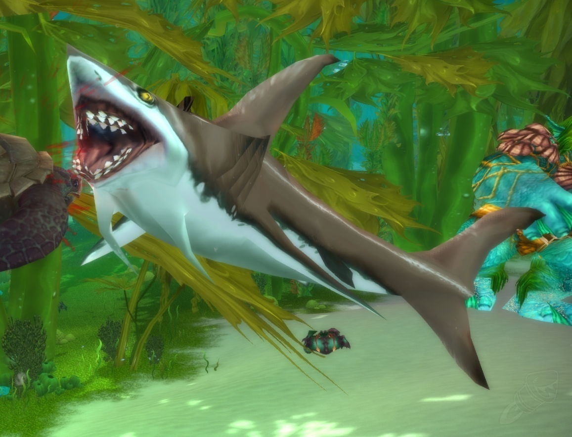 Requin Des Recifs Frenetique Pnj World Of Warcraft