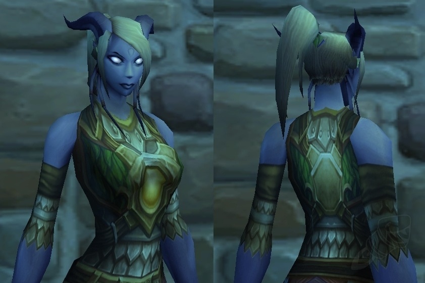 Vest of the True Companion Item World of Warcraft