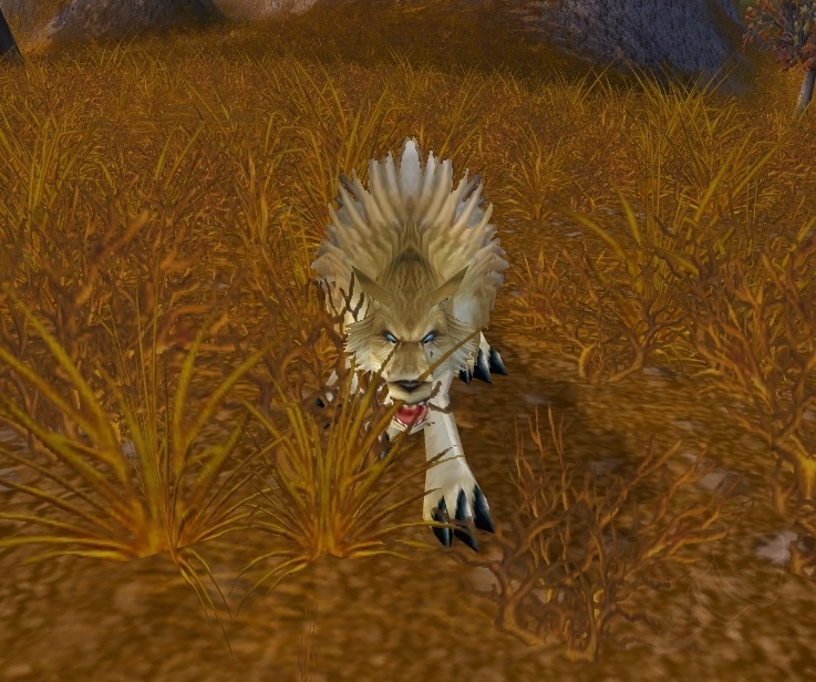 Coyote - NPC - Cataclysm Classic