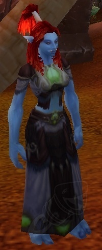 Bloodthirsty Gladiator's Dragonhide Robes - Item - World of Warcraft