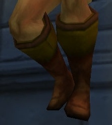 Harvester Boots - Item - World of Warcraft