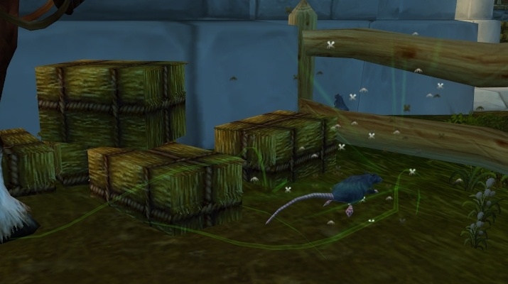 Enjambre de insectos - Hechizo - [Mists of Pandaria Classic]