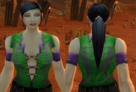 Hibernal Armor - Item - Mists of Pandaria Classic