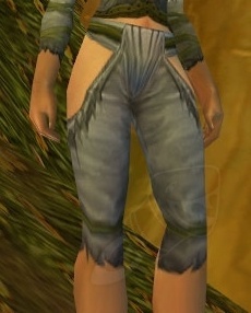 Pantalones de tejido fantasmal - Objeto - World of Warcraft