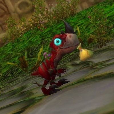 Be Raptor - Quest - Cataclysm Classic